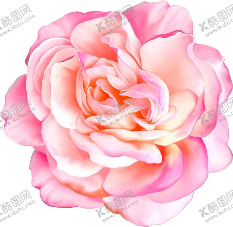 编号：59393610271131417633【酷图网】源文件下载-花手绘插画