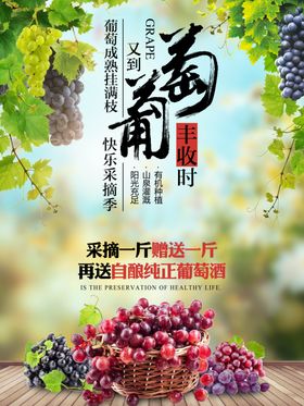 葡萄水果海报