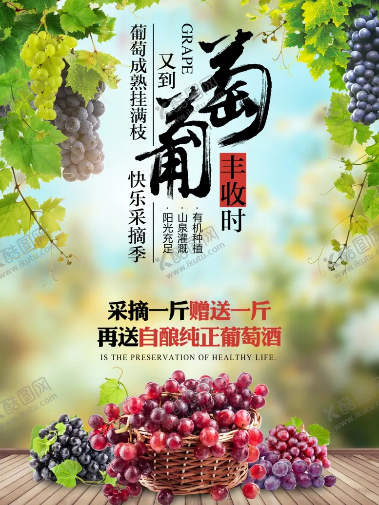 编号：25930406272341117740【酷图网】源文件下载-葡萄水果海报