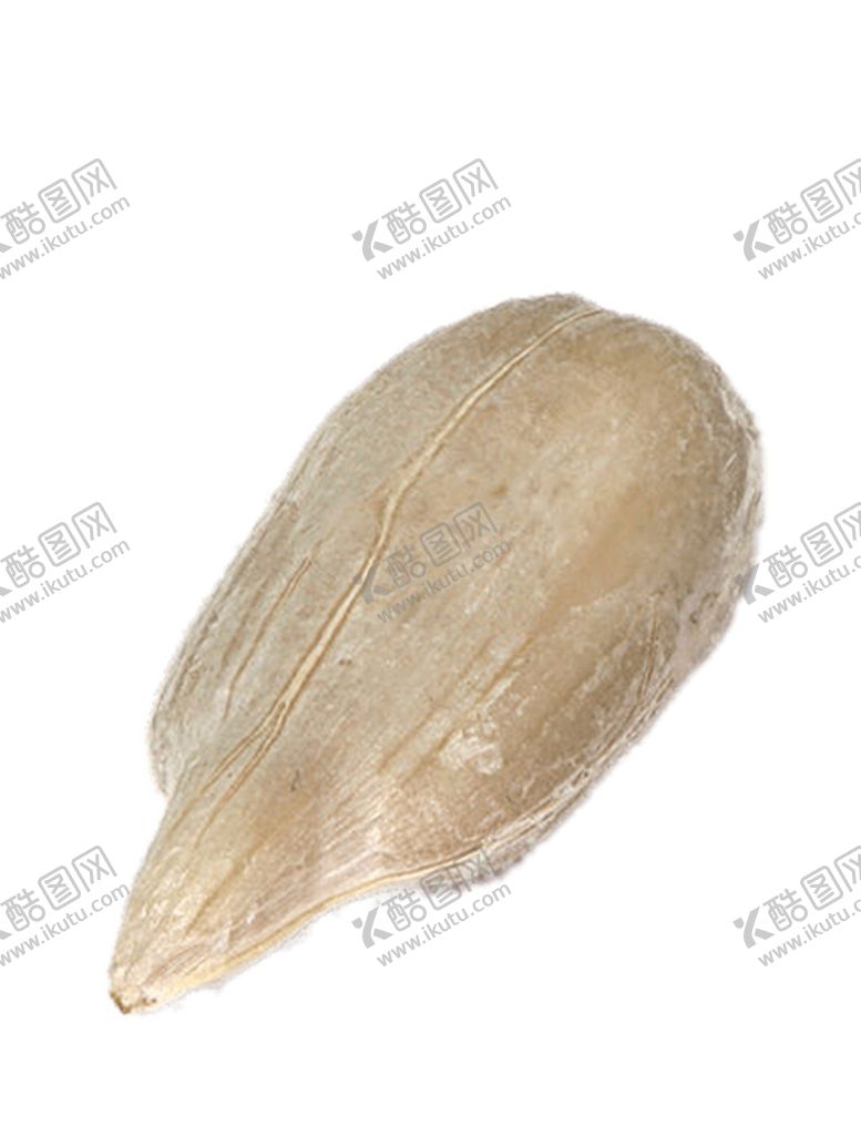 编号：57091505080729358460【酷图网】源文件下载-瓜子