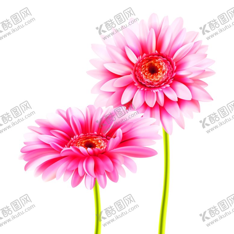 编号：35733109292014367879【酷图网】源文件下载-浪漫素材