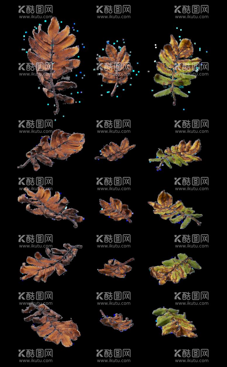 编号：79163809221518065039【酷图网】源文件下载-树叶