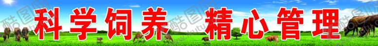 编号：27530701231733276227【酷图网】源文件下载-养殖