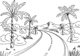 蜿蜒小路旁的热带风光