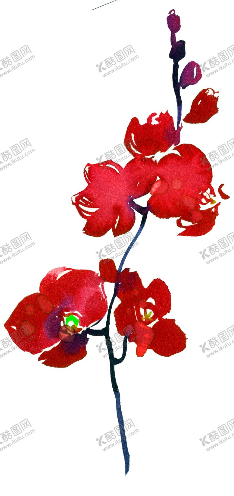 编号：43079802090051242804【酷图网】源文件下载-水彩花纹