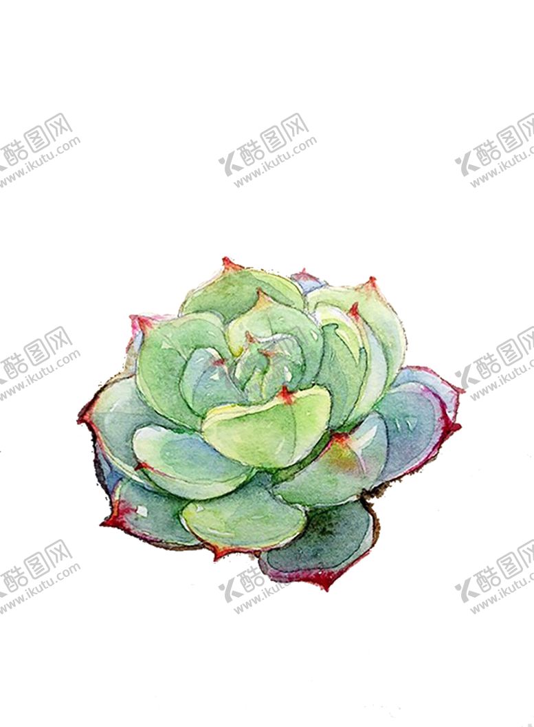 编号：53641710020608042549【酷图网】源文件下载-绿色相框