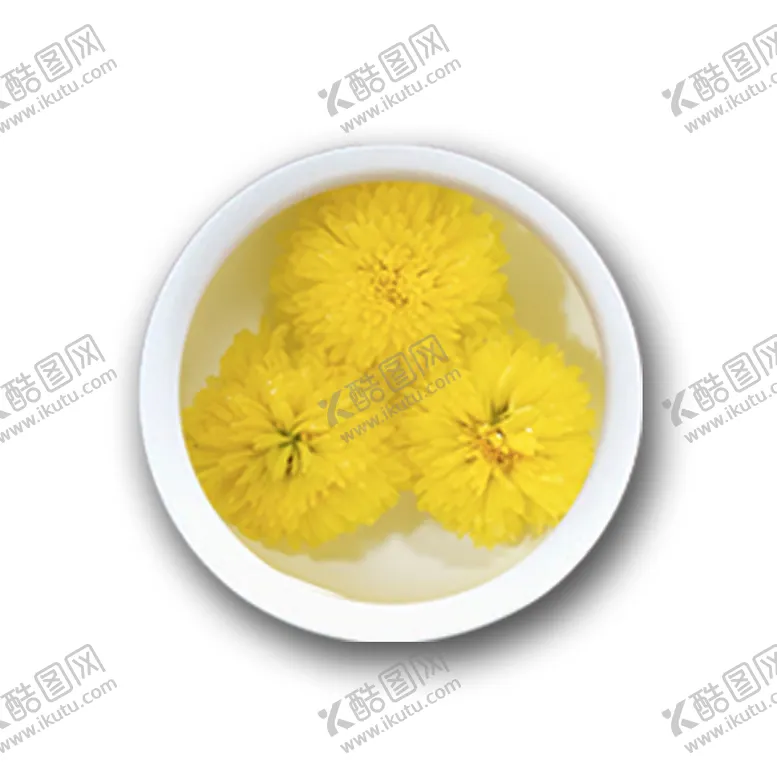 编号：46243712130412134654【酷图网】源文件下载-菊花茶