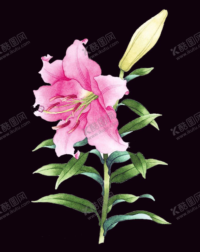 编号：94588810220007378465【酷图网】源文件下载-手绘花