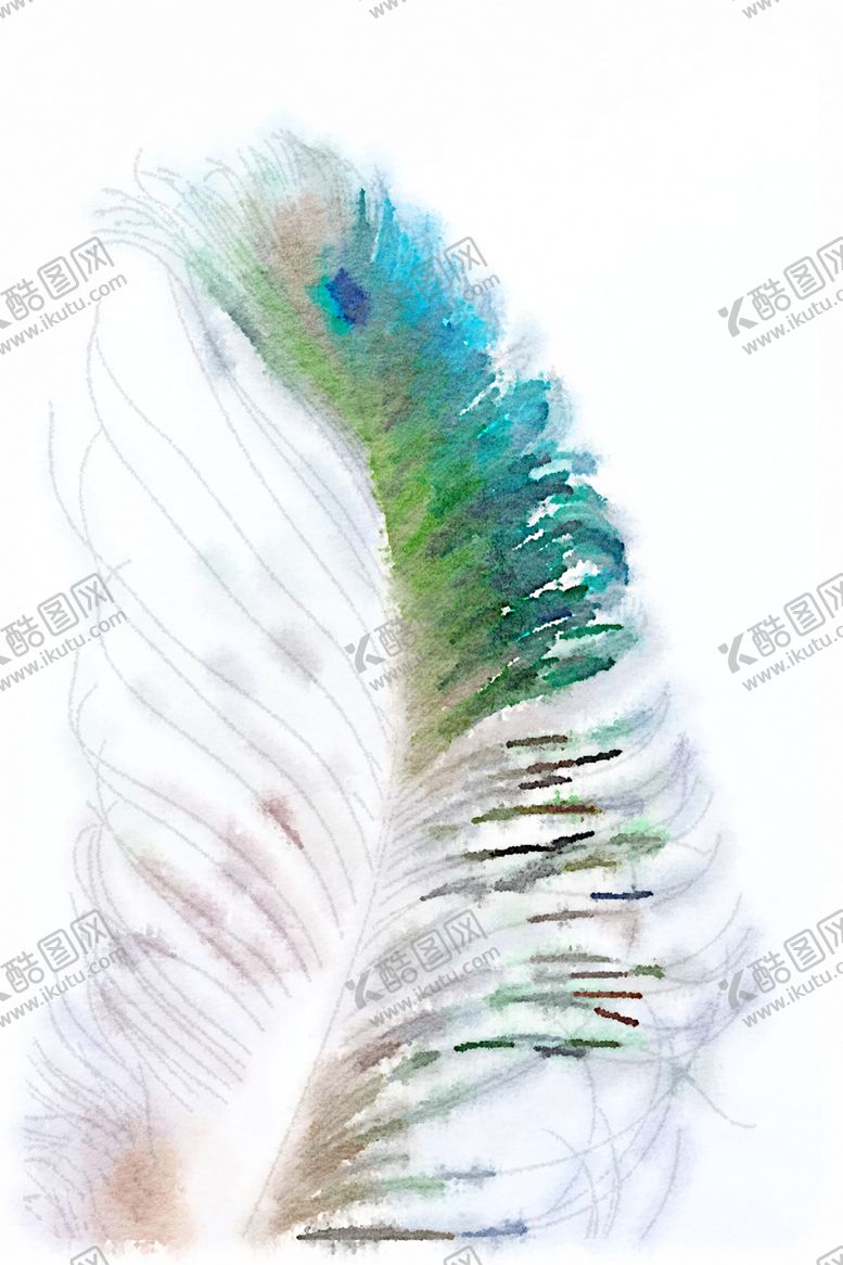 编号：71708504060944491495【酷图网】源文件下载-水彩插画鸟图案