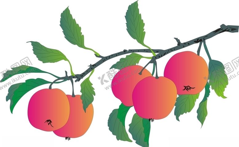 编号：66208110310549029700【酷图网】源文件下载-苹果