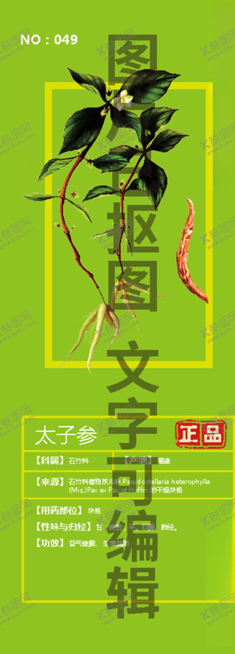 编号：39683907060309041806【酷图网】源文件下载-太子参