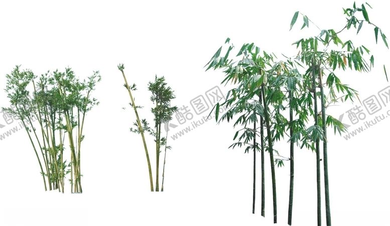 编号：94949710130640182932【酷图网】源文件下载-竹子