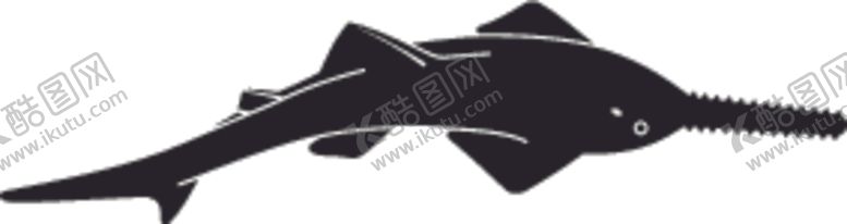 编号：57278410032345478294【酷图网】源文件下载-海洋生物系列长吻锯鲨