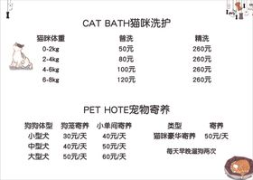 宠爱有家猫咪洗护