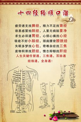 十四经络
