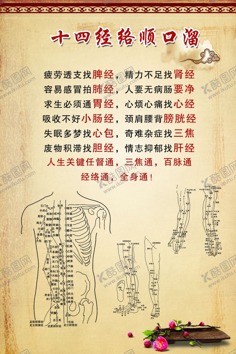 编号：85965410232111316429【酷图网】源文件下载-十四经络