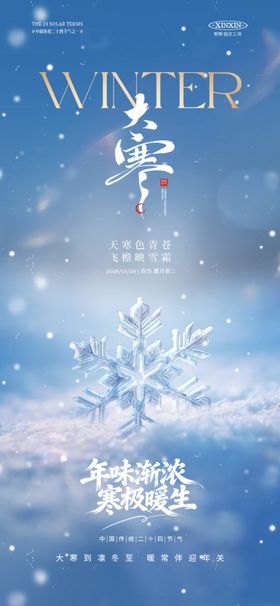 大寒节气海报