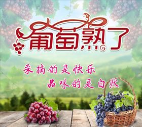 葡萄熟了