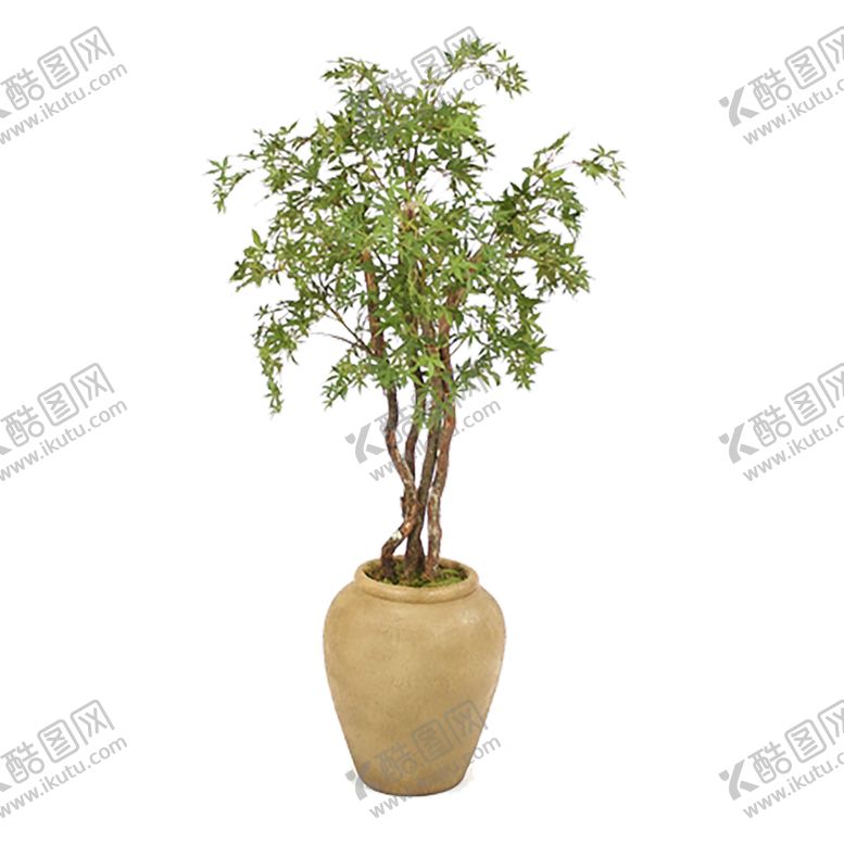 编号：94248909302344035872【酷图网】源文件下载-植物