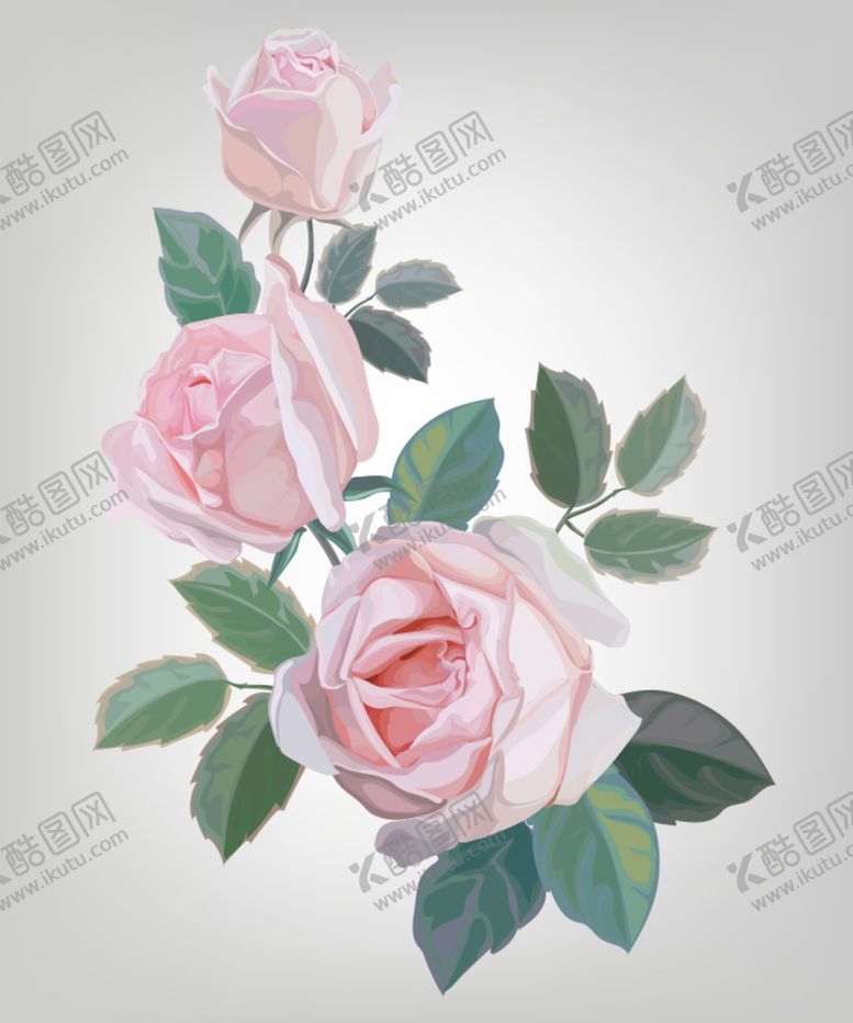 编号：26305910180551178017【酷图网】源文件下载-手绘花卉