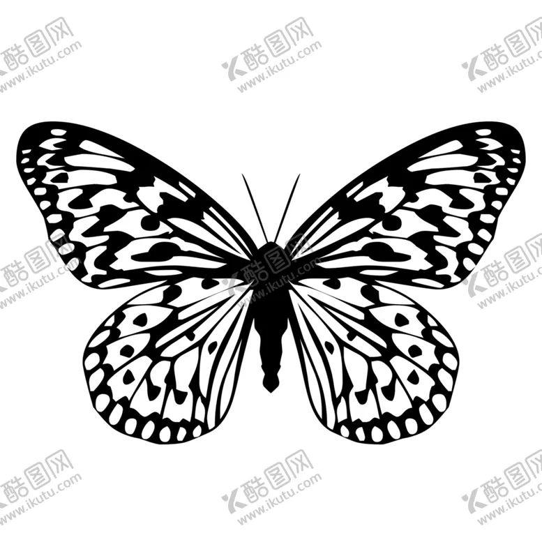编号：15902806160312503831【酷图网】源文件下载-蝴蝶素材