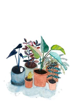 png格式植物花卉手绘素材朵插画仙人掌型
