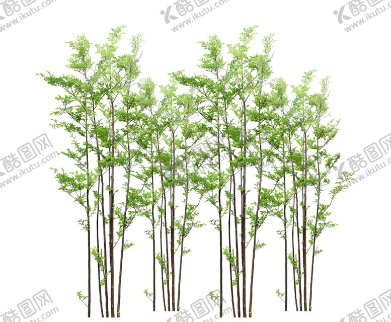 编号：70329710072023401482【酷图网】源文件下载-花艺