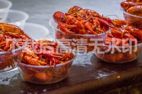 小龙虾