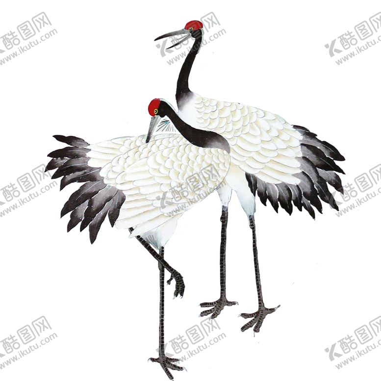 编号：61239707141642307183【酷图网】源文件下载-仙鹤