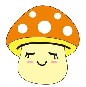 蘑菇上