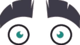 浓眉大眼