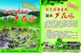 芦花鸡
