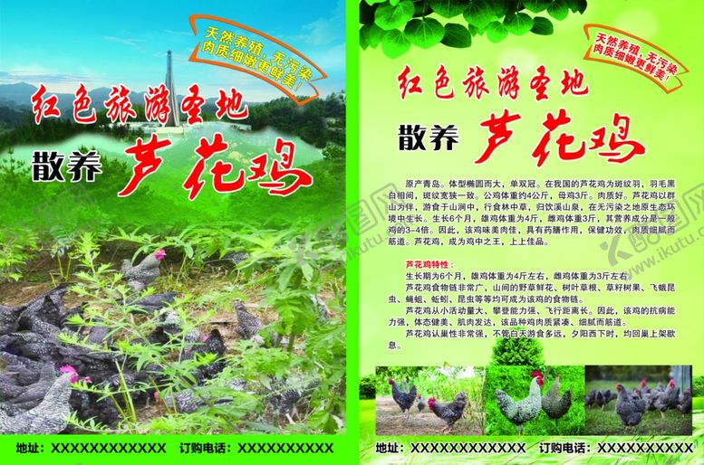 编号：74533010182348599791【酷图网】源文件下载-单页DM芦花鸡鸡鸣山省