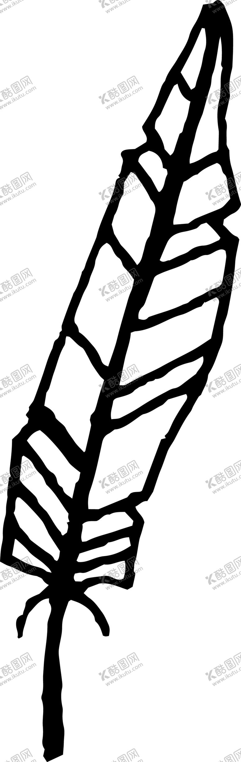 编号：98793909121228015220【酷图网】源文件下载-创意手绘羽毛