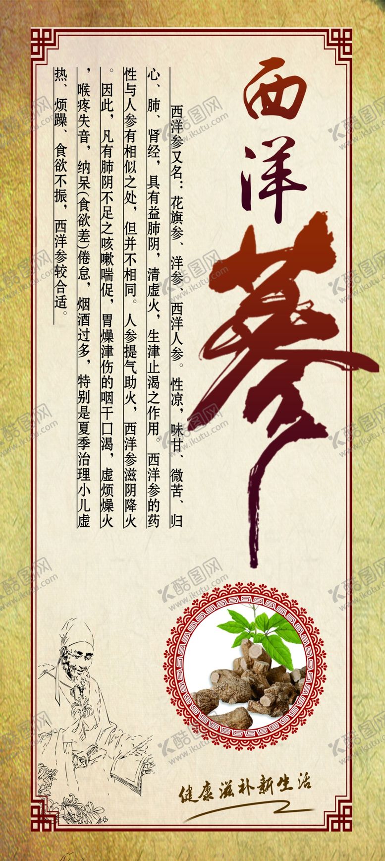 编号：92926210302004425682【酷图网】源文件下载-西洋参