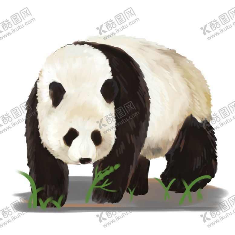 编号：99908209290258071953【酷图网】源文件下载-手绘熊猫