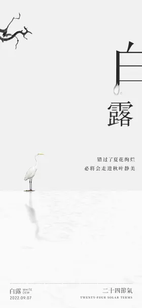 白露节气
