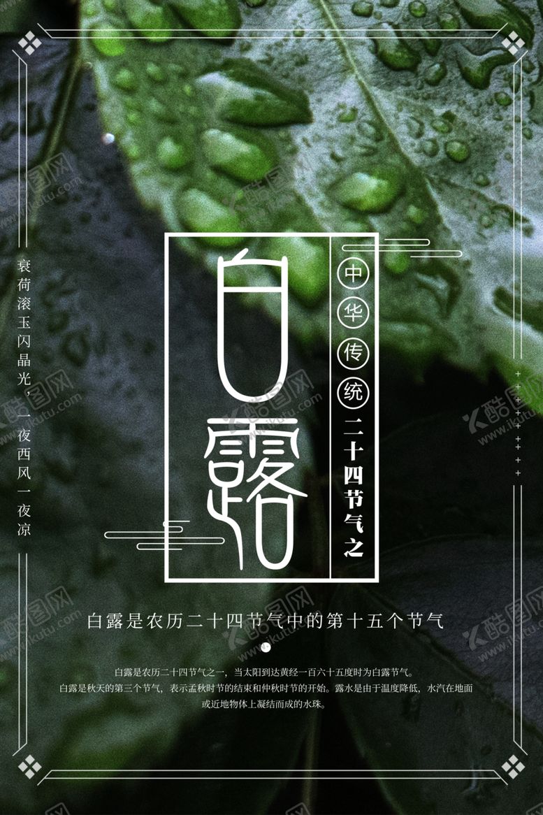 编号：35149010010945381379【酷图网】源文件下载-白露