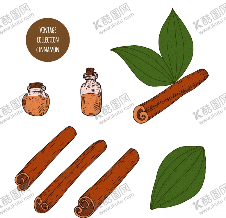 编号：15669606181342108747【酷图网】源文件下载-植物线稿