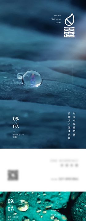 白露节气海报