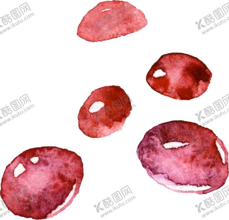 编号：31404505120011475202【酷图网】源文件下载-水彩手绘花卉花朵植物