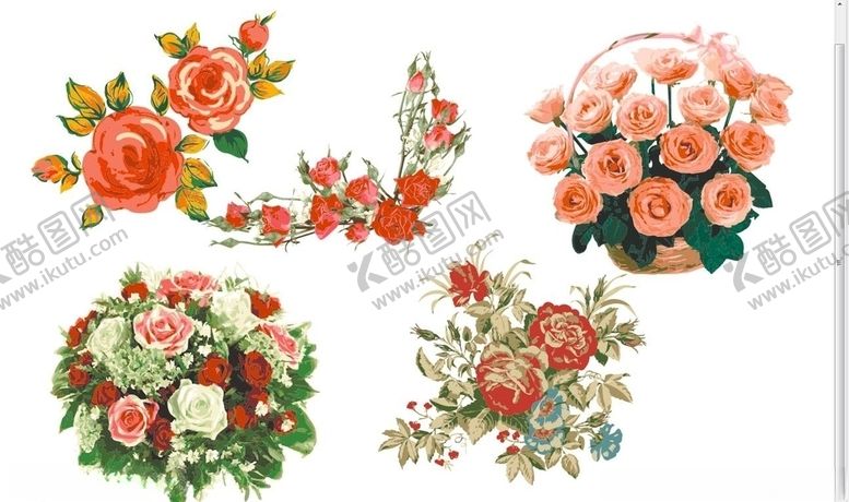 编号：33953911012032386329【酷图网】源文件下载-玫瑰花