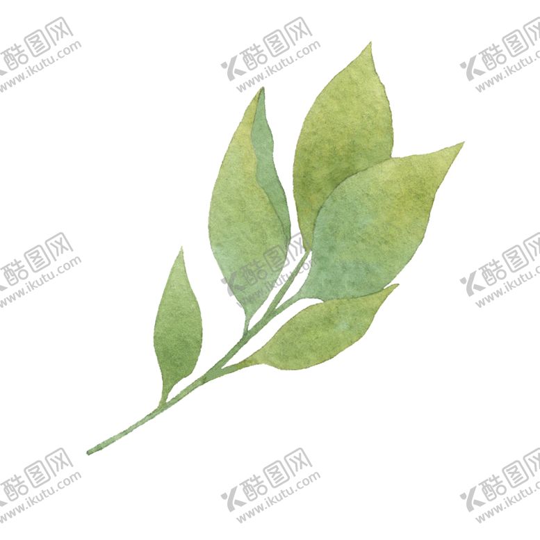 编号：96993902041113211248【酷图网】源文件下载-水彩树叶树枝 