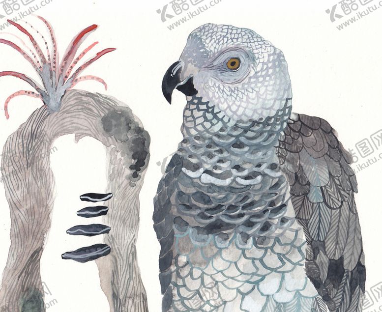 编号：72265509181600121992【酷图网】源文件下载-北欧风格鸟禽鱼水彩画