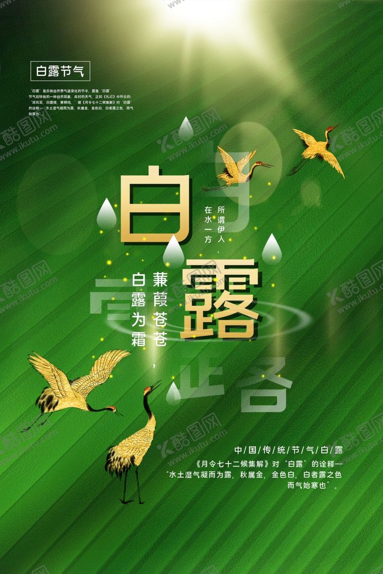 编号：62272405050706574645【酷图网】源文件下载-白露