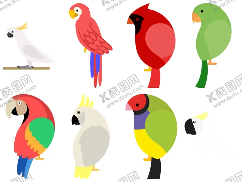 编号：38416904220559389094【酷图网】源文件下载-鹦鹉