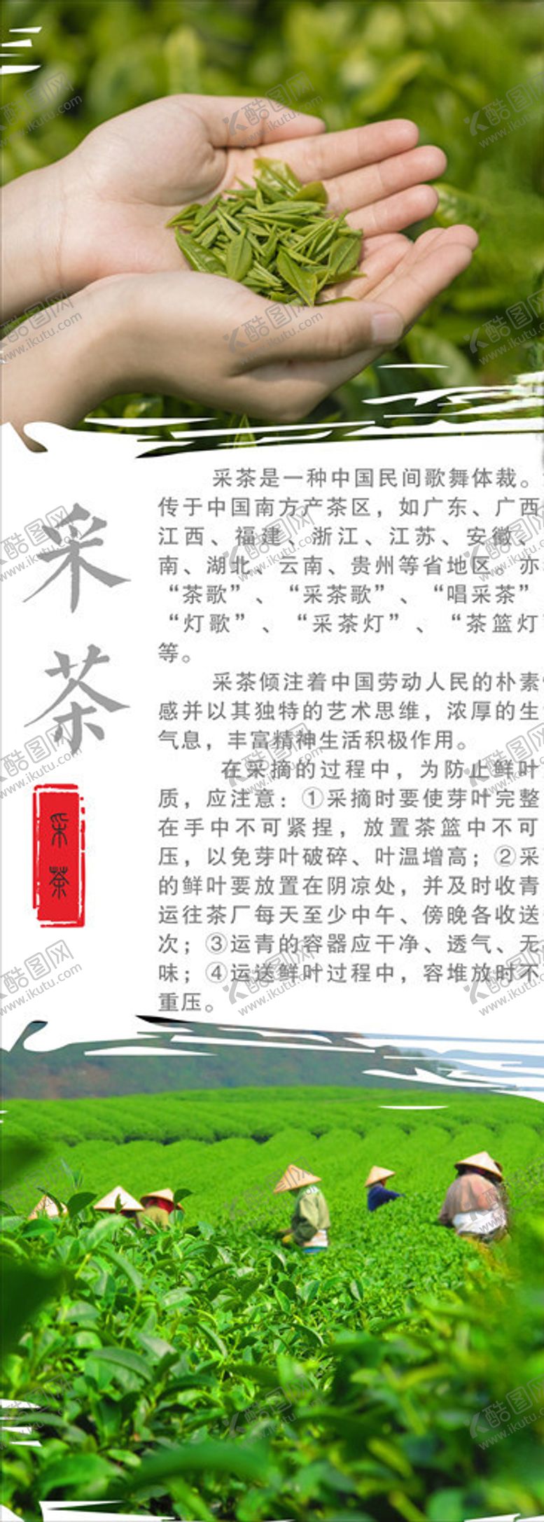 编号：44617806170924164623【酷图网】源文件下载-采茶茶文化