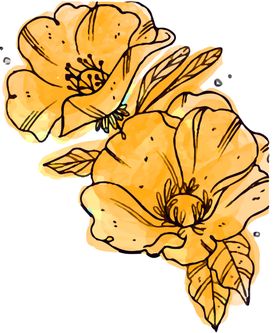 鲜花装饰