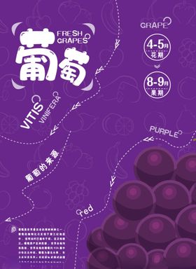 葡萄海报
