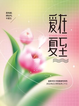 夏至二十四节气海报